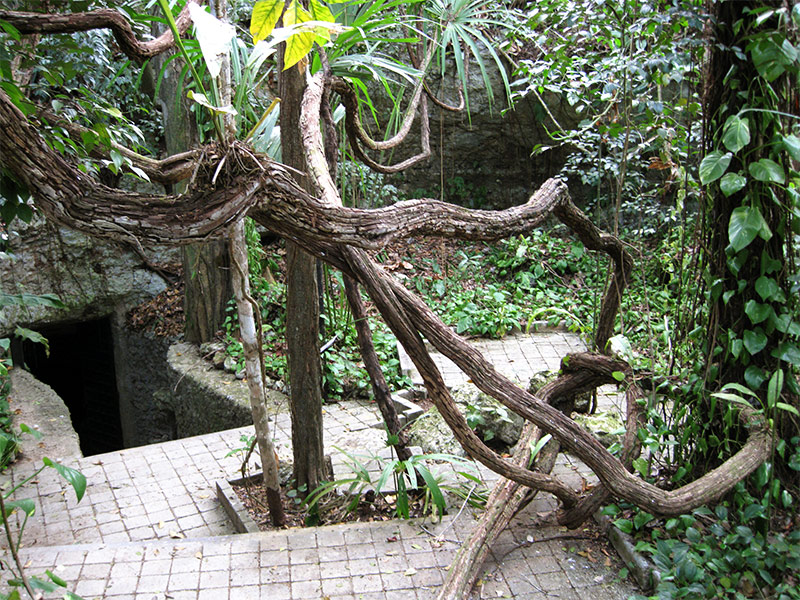 Balankanche Cave Entrance